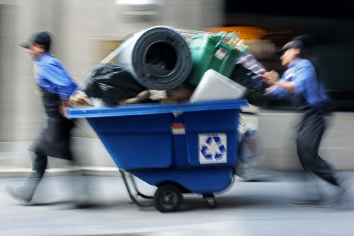 Clearance process in action with organized removal