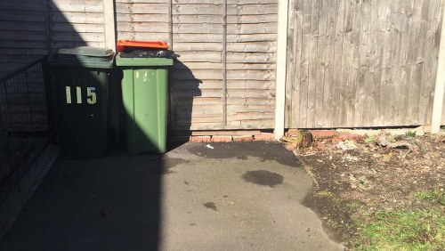 Professional waste management team sorting office waste