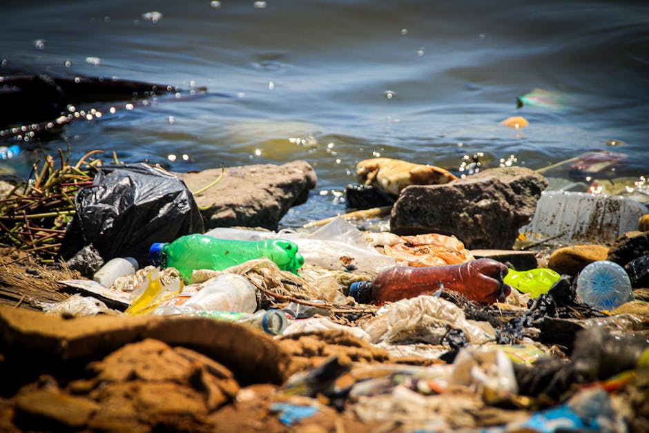 A shoreline covered with various types of litter and waste materials including plastic bottles, plastic bags, and debris, scattered among rocks and dried vegetation. The water nearby has small floatin
